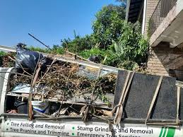 Best Basement Cleanout  in Carrollwood, FL