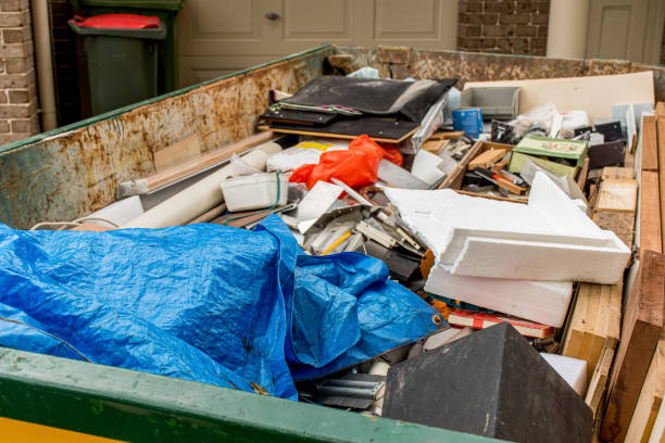 Best Shed Removal  in Carrollwood, FL